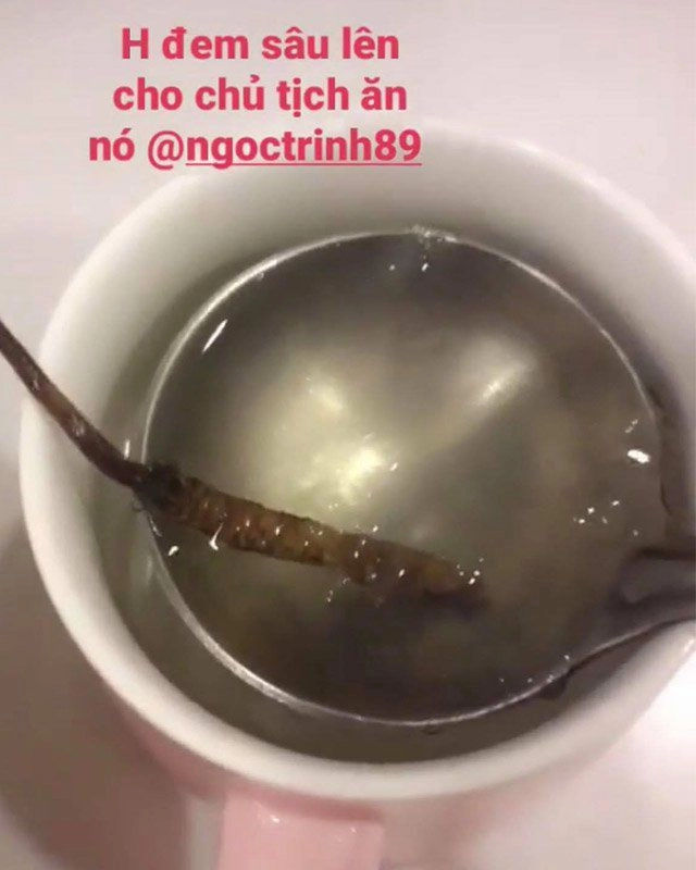 Bằng tuổi nhau nhưng ngọc trinh trẻ trung áp đảo lâm vỹ dạ - 10
