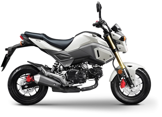 Đánh giá toàn diện về honda msx 125 2017 - 3