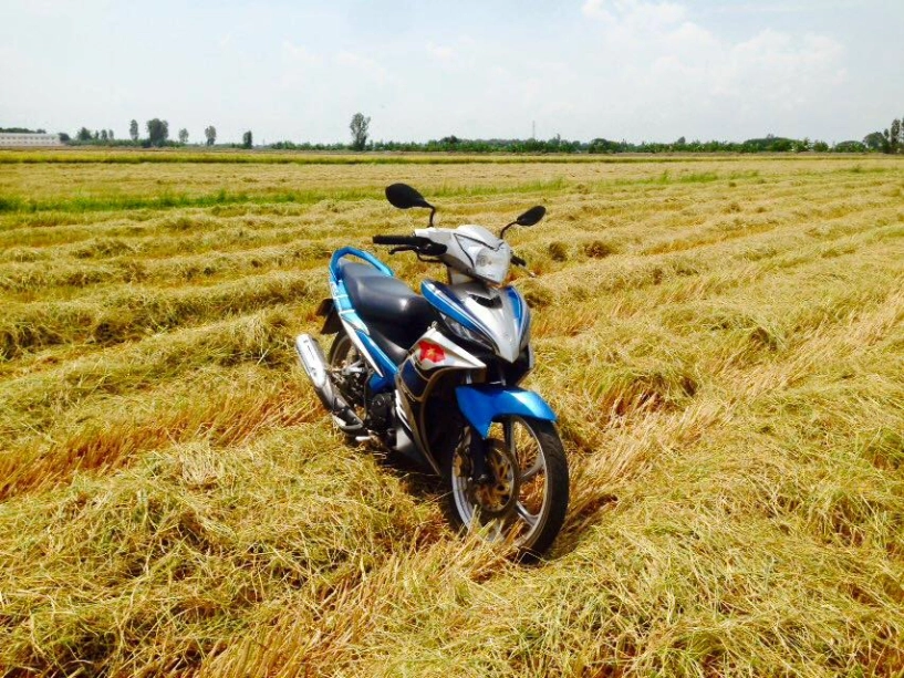 Exciter 135cc giữa cánh đồng mùa gặt lúa - 4