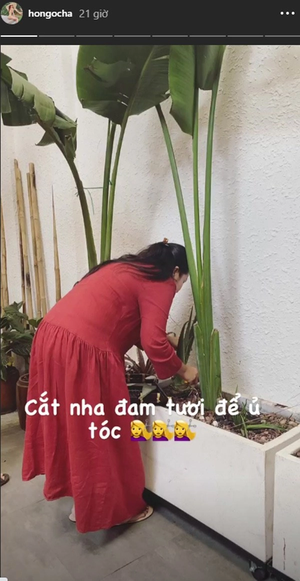 Học hồ ngọc hà ủ tóc với nguyên liệu rẻ tiền vừa dễ kiếm vừa chăm tóc đẹp đỉnh cao - 8