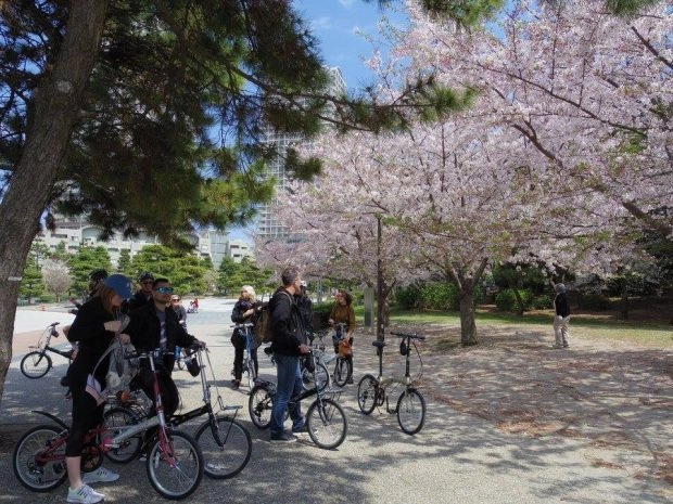 Khám phá tokyo bằng xe đạp - 3