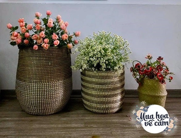 Mẹ hà nội nhỏ vài giọt nước thần vào bình hoa chơi cả tuần không hỏng đẹp mê li - 12