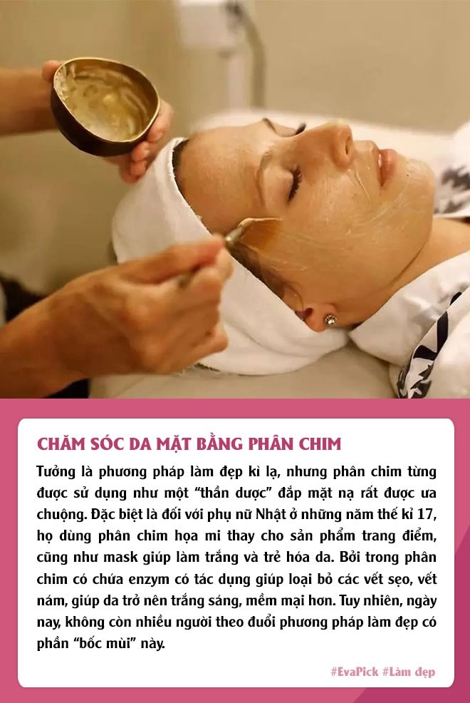 Phương pháp làm đẹp độc lạ vẫn được chị em áp dụng đắp mask phân chim dùng đỉa hút mụn - 2