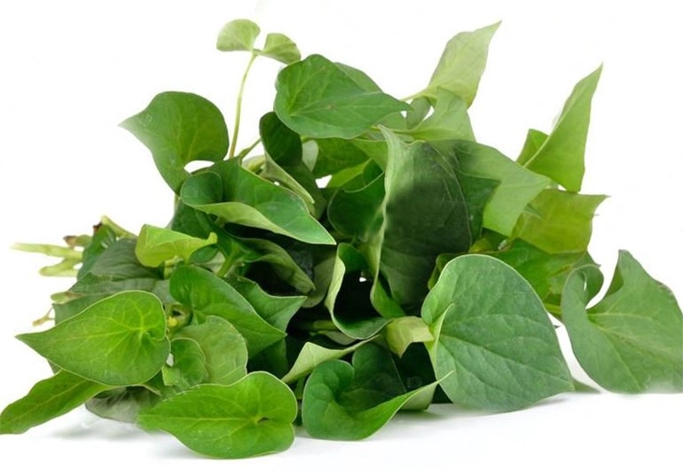 5 cách trị mụn ẩn trên trán tại nhà giúp nhân tự khắc trồi lên mà không cần nặn - 6