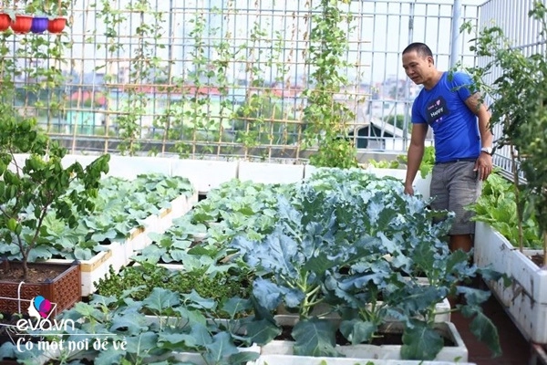 Bố hà nội vác 5 tấn đất lên sân thượng trồng rau phun nước thần cây tốt ngồn ngộn - 2