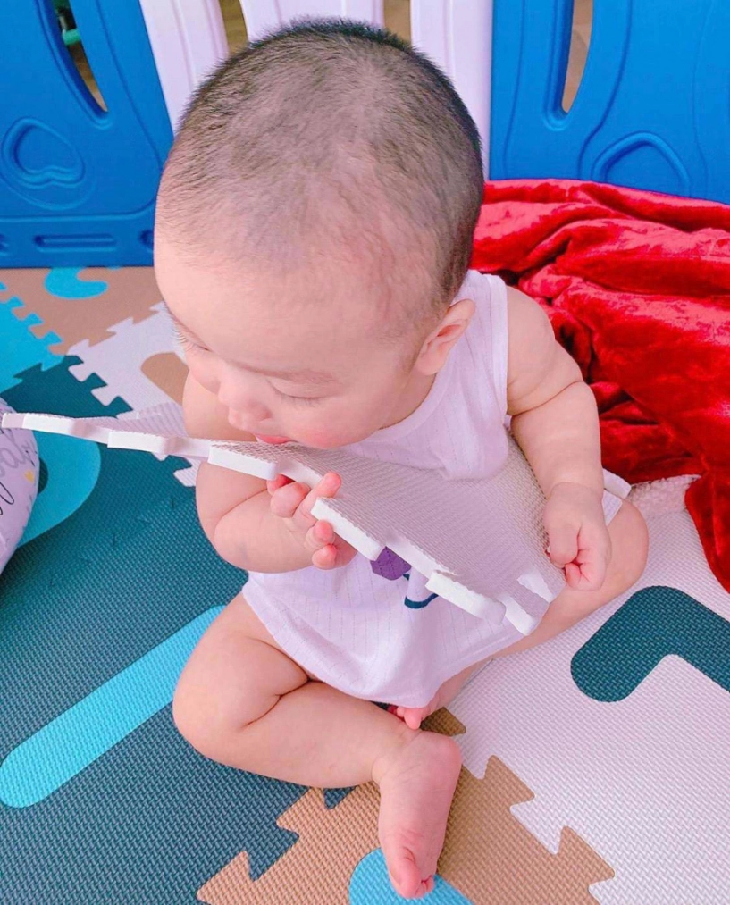 Lan khuê miệt mài bí hiểm giấu mặt con nào ngờ chồng đại gia đã công khai 3 4 lần - 8