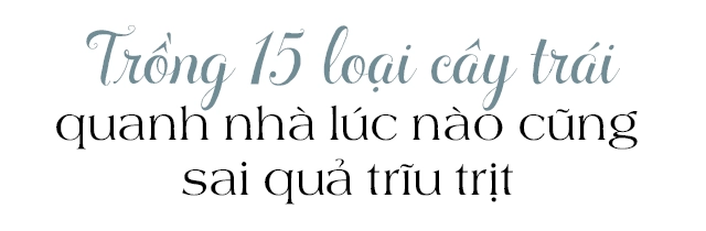 Lấy chồng giàu mẹ việt sang mỹ quản lý sòng bài làm vườn cây 4000m2 sai trĩu trịt - 12