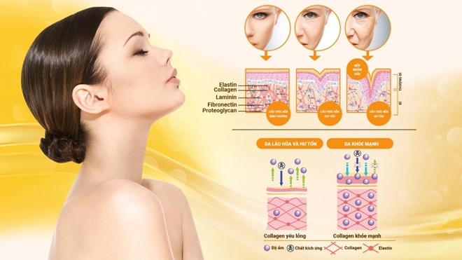 Viên uống the collagen extra plus của rosa bonita tái tạo da từ cấp độ tế bào - 2