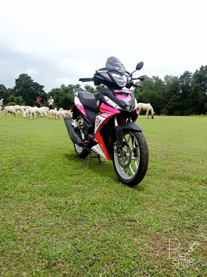 Winner 150cc phong cách hồng khoe dáng bên đàn cừu non - 4