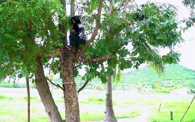 bà trùm một thời kim thư trèo lên cây xoan hái lá đắng ngắt về làm món lạ - 2