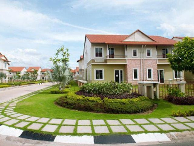 Hoa mai việt nam có hơn chục loại tết này bạn sẽ chưng loại nào - 31