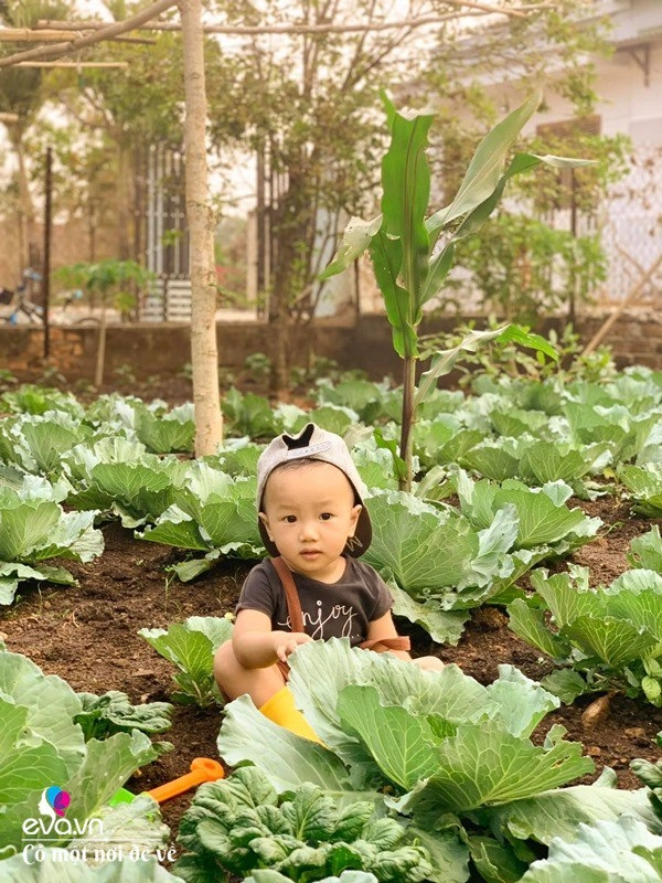 Bỏ phố lấy chồng đắk lắk nàng dâu choáng khi chồng dẫn ra kho lương thực 700m2 của gia đình - 24