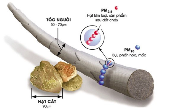 Chăm sóc mỗi ngày nhưng nếu lơ là điều này thì da khó trở nên mịn mượt - 2