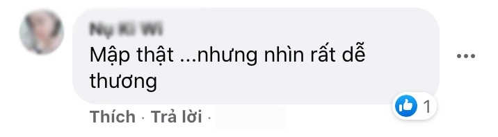 Chuyện cân nặng sao việt người được khuyên nên giảm cân người được ủng hộ tăng chục kí - 4