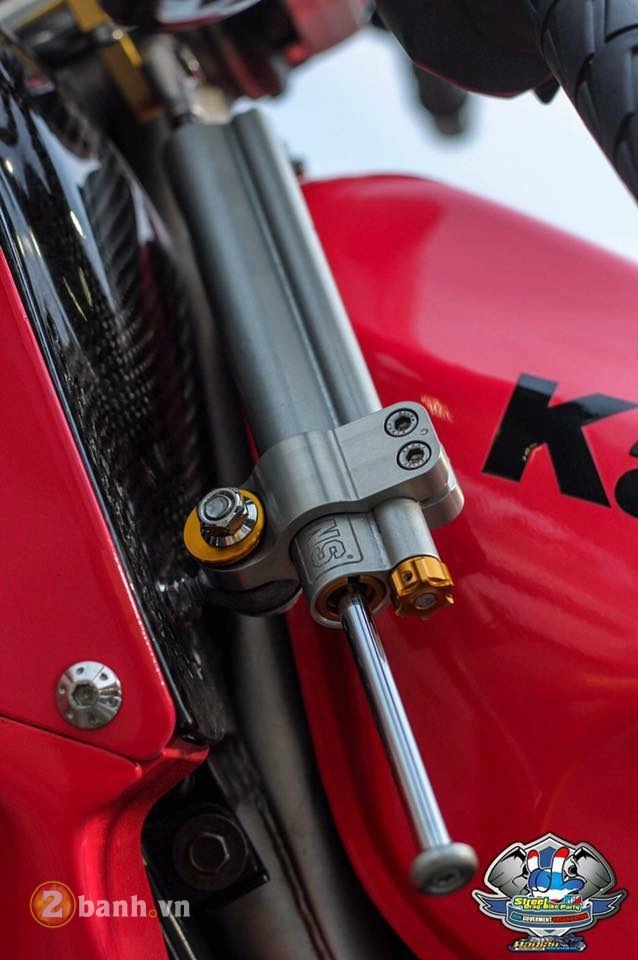 Kawasaki kips bản nâng cấp uy lực và hầm hố với vẻ ngoài đầy nữ tính - 7