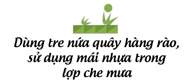 Muốn có khu tắm tiên 8x vác tre nứa về giữa thủ đô cải tạo sân vườn 55m2 đẹp mê - 5