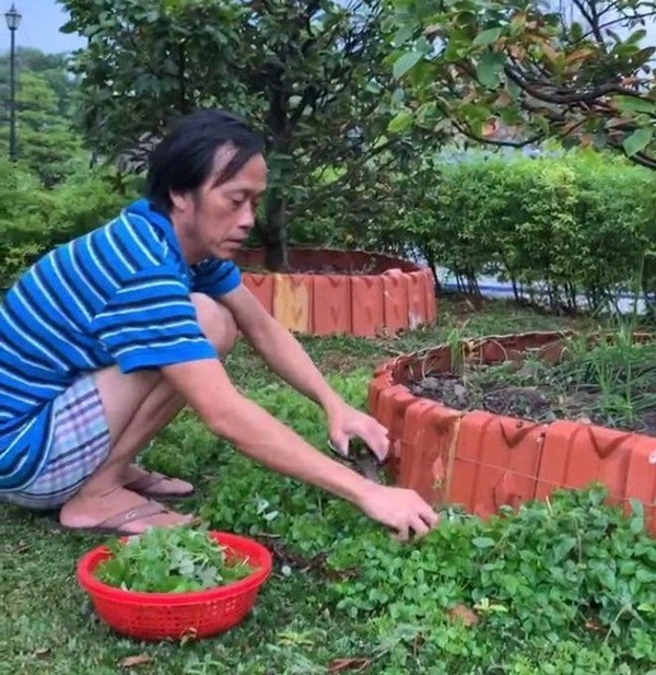 Nsưt hoài linh cả năm không đi diễn chỉ ở nhà thờ tổ giờ nhìn thành quả mới bất ngờ - 1