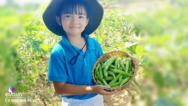 Nữ nhân viên văn phòng mở đồi bỏ tiền mua 10 con bò giờ nhìn vườn cây ai cũng thèm - 12