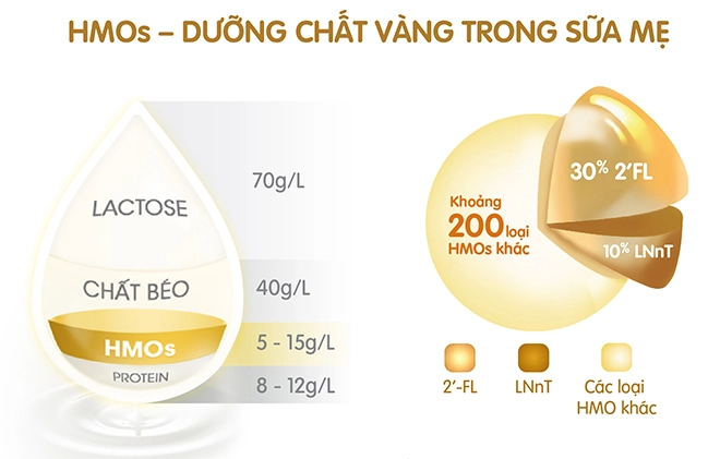 4 nguyên tắc chăm con ngày tết mẹ thuộc lòng sẽ không lo trẻ ốm vặt thiếu chất - 3