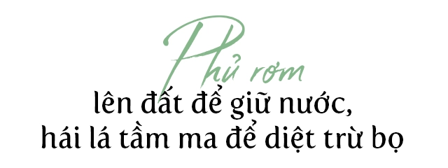 9x hà nội tận dụng ban công 8m thành vườn rau xanh rì ai nhìn cũng bái phục - 11