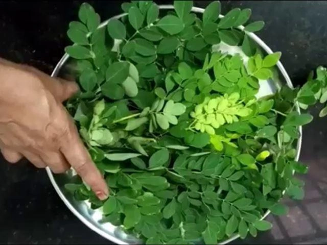 Cách dùng rau chùm ngây nấu cháo cho bé cùng cá hồi - 3