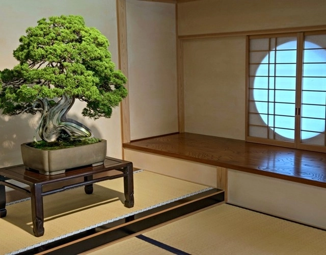 Cây bonsai là gì nguồn gốc phân loại và những loại cây đẹp - 9