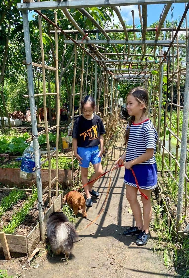 Choáng với học phí học thêm của con hồng nhung hà kiều anh 45 phút học phí gần 1 triệu - 7
