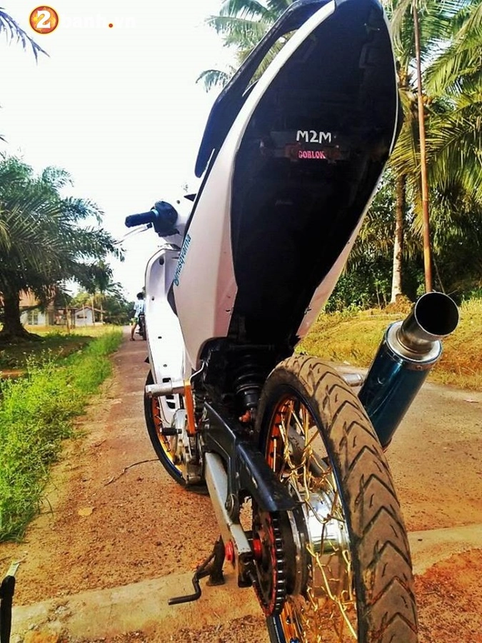 Exciter 135 độ phong cách cọp đầy mạnh mẽ của biker malaysia - 6