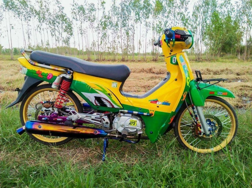 Honda cub fi độ đa sắc màu khoe dáng dưới cánh đồng lúa - 2