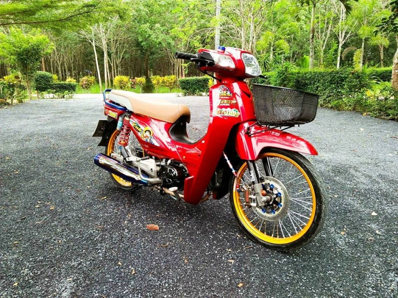 Honda cub fi độ sang chảnh lạc trôi giữa cảnh đẹp của rừng già - 3