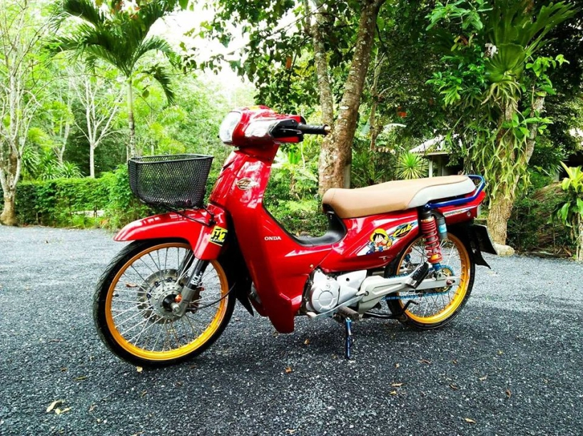 Honda cub fi độ sang chảnh lạc trôi giữa cảnh đẹp của rừng già - 6