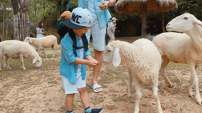 Lần đầu đi sở thú con trai lương thế thành cười tít mắt liên tục nói yêu ba mẹ - 7