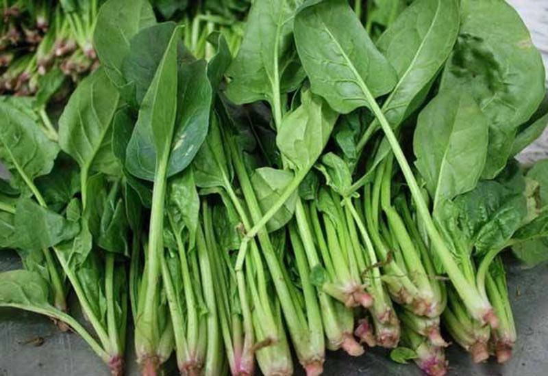 Mẹ nghèo vẫn cố mua những món này cho con ăn đứa trẻ 13 tuổi cao 1m70 - 3