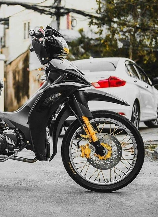 Sirius fi độ đơn giản đầy quyến rũ của biker việt - 3