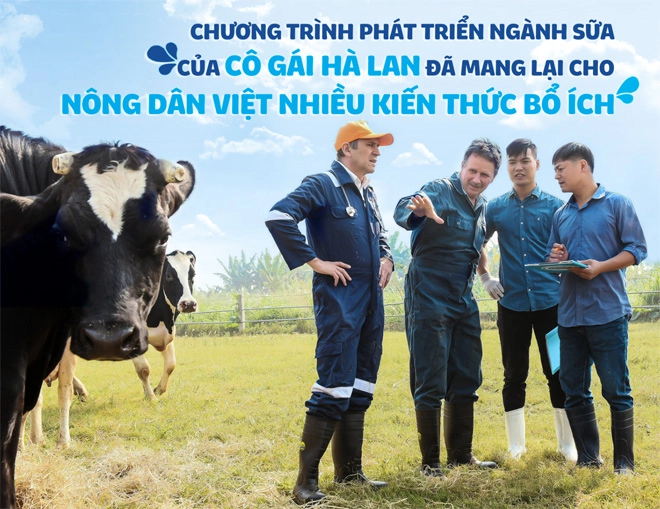 Thương hiệu sữa cô gái hà lan phát triển vững chắc với mô hình đại gia đình nông dân - 1