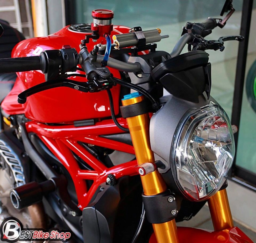 Ducati monster 821 bản nâng cấp đầy sức hút - 6