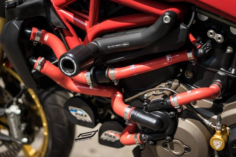 Ducati monster 821 makeover diện mạo đẹp không tưởng - 5