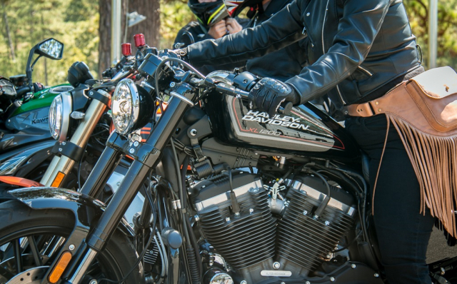 Harley-davidson roadster 1200cc cùng nữ biker yêu kiều vượt hành trình hơn 1000km - 4