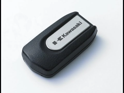 Kawasaki ninja 250 fi smart key với có giá từ 113 triệu vnd - 2