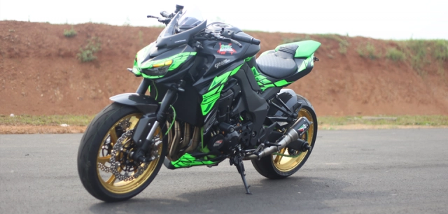 Kawasaki z1000 sặc sỡ với phong cách đại bàng xuống núi - 3