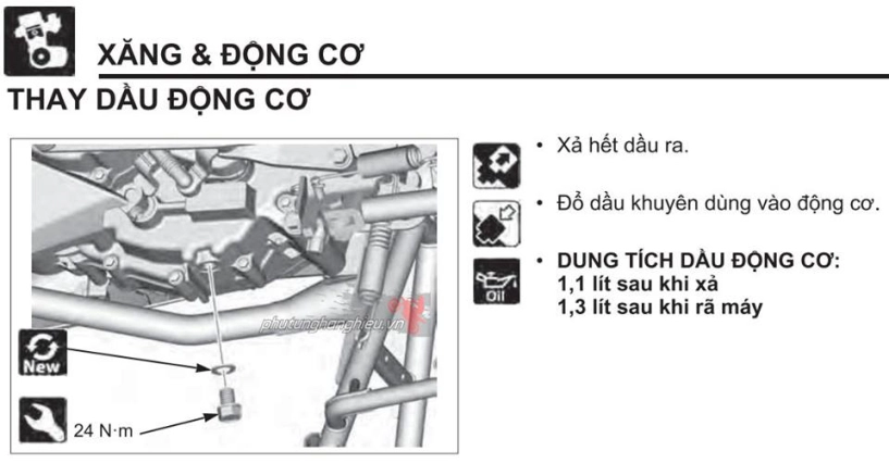 Ốc xả nhớt - có thể bạn chưa biết - 3