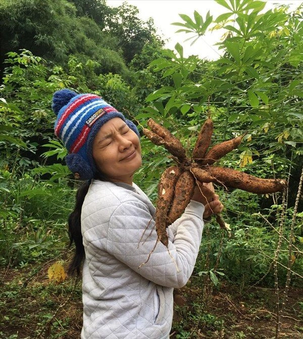 2 năm trước kiều trinh đưa con về bình phước tránh dịch giờ hằng ngày trồng rau dỡ sắn - 5