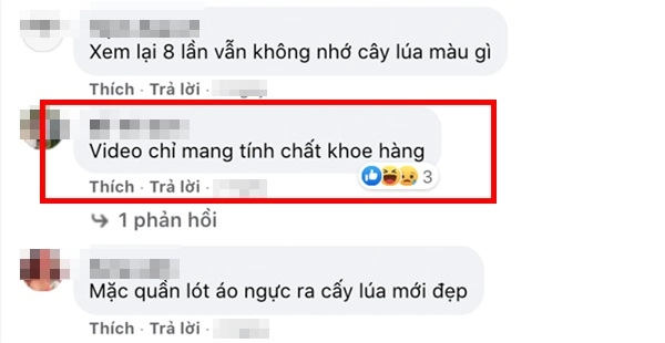 Bà tưng mặc đồ phô da thịt đi cấy lúa cđm hết vào góp ý đến buông lời mỉa mai - 10