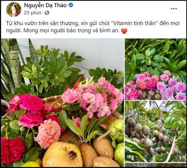 Bà xã quyền linh thu hoạch quả trĩu cành trên sân thượng mùa dịch không lo thiếu rau trái - 1