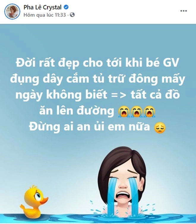 Bảo thy cầu cứu cách trữ rau củ quả trong tủ đông lan khuê và dân mạng mách tuyệt chiêu - 10