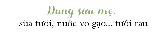 Bầu bí 7 tháng mẹ sài gòn vẫn còng lưng trồng rau sân thượng thành quả ngoài mong đợi - 11