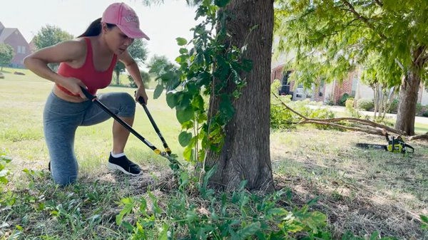 Ca sĩ hồng ngọc có vườn hàng nghìn mét vuông tại mỹ 2 năm không phải mua trứng gà - 2