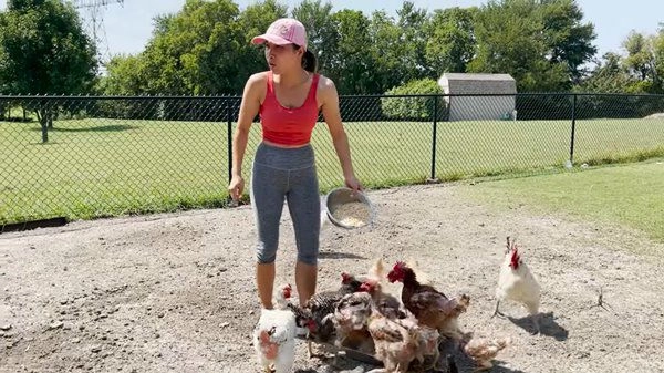 Ca sĩ hồng ngọc có vườn hàng nghìn mét vuông tại mỹ 2 năm không phải mua trứng gà - 4