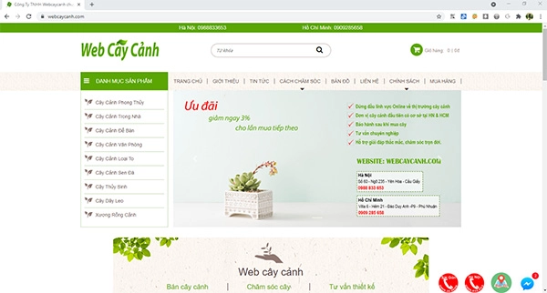 Cách mua cây để khỏi lo cây chết - 1