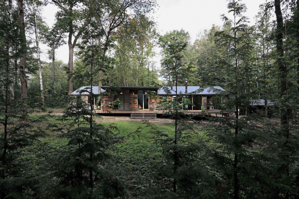 Căn nhà ẩn mình trong rừng tuyệt đẹp xây trong 10 ngày - 3